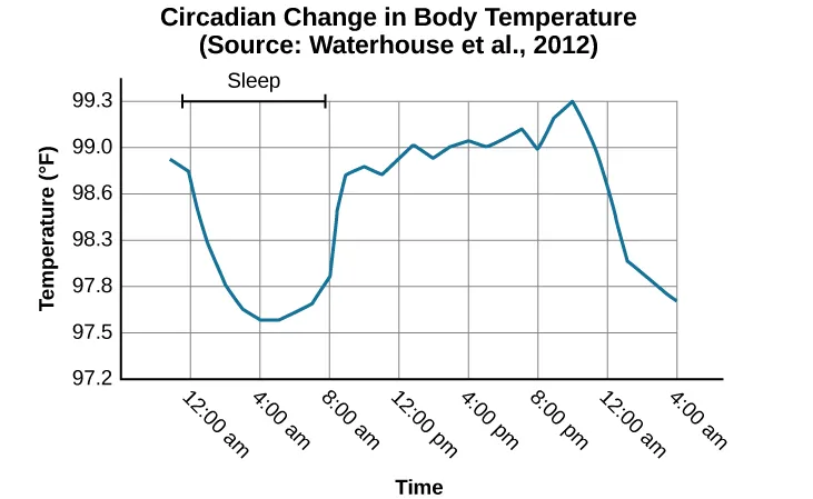 A line graph is titled “Circadian Change in Body Temperature (Source: Waterhouse et al., 2012).” The y-axis, is labeled “temperature (degrees Fahrenheit),” ranges from 97.2 to 99.3. The x-axis, which is labeled “time,” begins at 12:00 A.M. and ends at 4:00 A.M. the following day. The subjects slept from 12:00 A.M. until 8:00 A.M. during which time their average body temperatures dropped from around 98.8 degrees at midnight to 97.6 degrees at 4:00 A.M. and then gradually rose back to nearly the same starting temperature by 8:00 A.M. The average body temperature fluctuated slightly throughout the day with an upward tilt, until the next sleep cycle where the temperature again dropped.