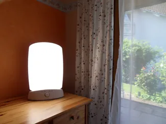 A photograph shows a bright lamp which simulates sunlight to help regulate the circadian cycle.